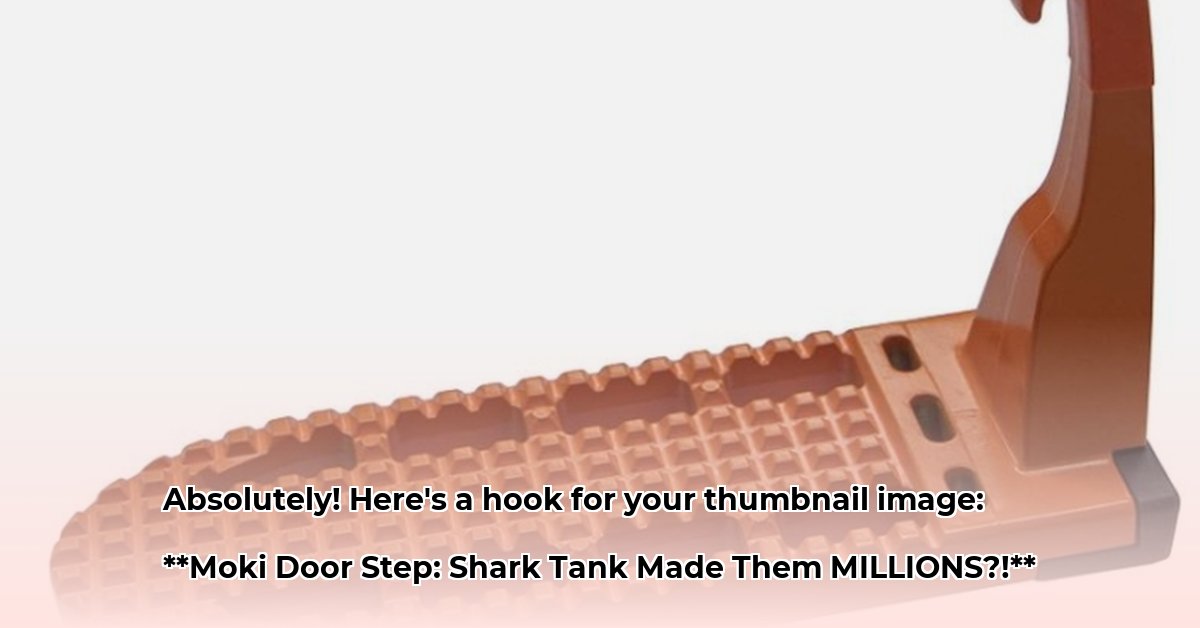 moki-doorstep-net-worth